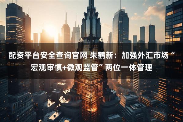配资平台安全查询官网 朱鹤新：加强外汇市场“宏观审慎+微观监管”两位一体管理