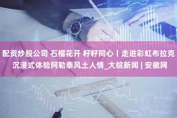 配资炒股公司 石榴花开 籽籽同心丨走进彩虹布拉克 沉浸式体验阿勒泰风土人情_大皖新闻 | 安徽网