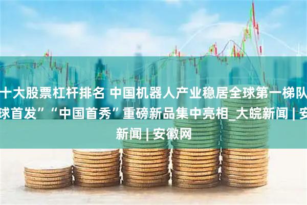 十大股票杠杆排名 中国机器人产业稳居全球第一梯队 “全球首发”“中国首秀”重磅新品集中亮相_大皖新闻 | 安徽网